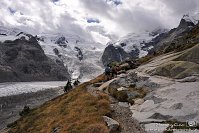 46 Pontresina Morterastch - Ghiacciaio del Morteratsch Capanna Boval